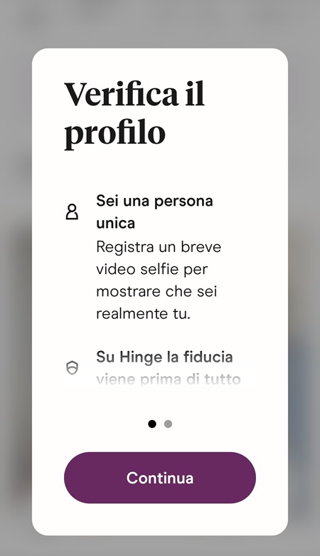 Hinge 3